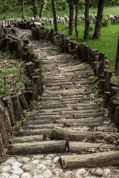 A wooden path, a road of forest logs, pine cones and gravel for walking bees. A natural wooden massage footpath. Healthy lifestyle, therapeutic massage. Wooden stylized pavement in a forest glade