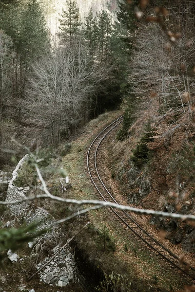 Antiguo Ferrocarril Estrecho Las Montañas Pirin Escena Escénica Dramática Ferrocarril —  Fotos de Stock