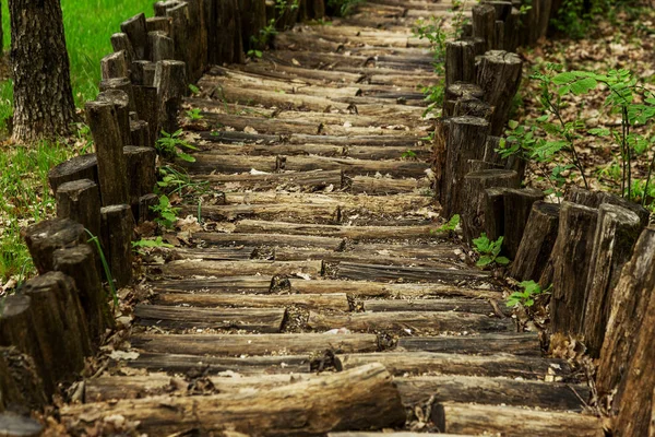 A wooden path, a road of forest logs, pine cones and gravel for walking bees. A natural wooden massage footpath. Healthy lifestyle, therapeutic massage. Wooden stylized pavement in a forest glade