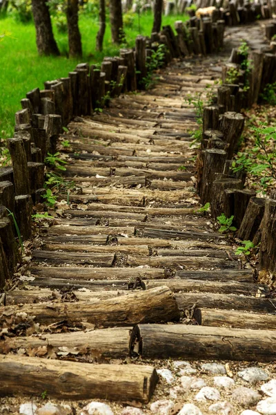 A wooden path, a road of forest logs, pine cones and gravel for walking bees. A natural wooden massage footpath. Healthy lifestyle, therapeutic massage. Wooden stylized pavement in a forest glade