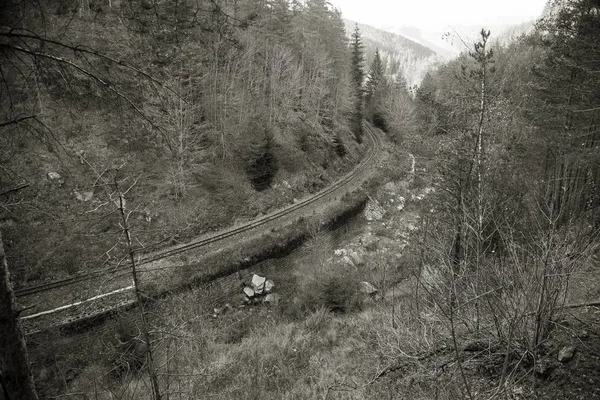 Ancien Chemin Fer Étroit Dans Les Montagnes Pirin Scène Scénique — Photo