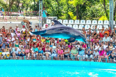 Odessa, Ukrayna - ö. 10 Haziran 2013: Yunuslar dolphinarium ful ziyaretçi ile yaratıcı eğlenceli göstermek üstünde göstermek inanılmaz hileler. seyirciler mutlu 10 Haziran 2013 odessa, Ukrayna memnun.