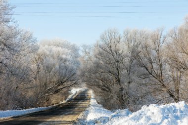 Kış karla kaplı yol. Ağaçlar buz ve kar karla kaplı yolun kenarında. Parlak karlı kış manzara soğuk güneşli kış günü