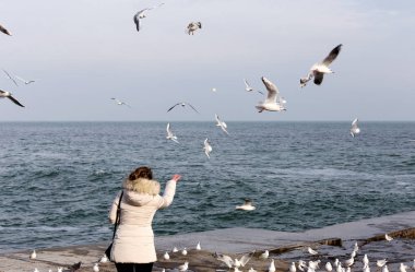 İnsanları martılar deniz kıyısında bir sürü kışın beslemek. Denize yakın çekim üzerinde bir sürü deniz martı. Martılar denize kış sahilde. Martılar uçuş gıda insanların elinden yakalamak