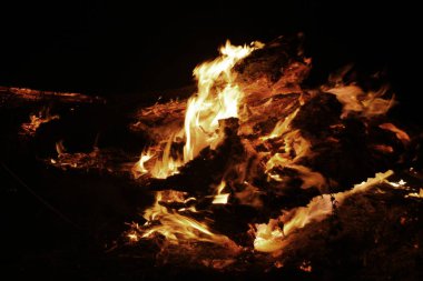 Orman yangını. düşmüş ağaç duman zaman zemin çok üzerinde yanmış vildfire. ateş her şeyi bırakmak tek yanık ağaç ve ashe yok eder. Doğal afet orman yanıyor. Orman yangınları görselleştirme