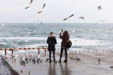 İnsanları martılar deniz kıyısında bir sürü kışın beslemek. Denize yakın çekim üzerinde bir sürü deniz martı. Martılar denize kış sahilde. Martılar uçuş gıda insanların elinden yakalamak