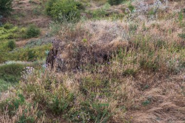 Çevreye zararlı bir bölgede dağ heyelan. Yeryüzündeki büyük çatlaklar, toprak yolu kapatan büyük katmanların inişi. Dağ yamacının yamacında baraj tehlikesi