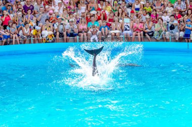Odessa, Ukrayna - ö. 10 Haziran 2013: Yunuslar dolphinarium ful ziyaretçi ile yaratıcı eğlenceli göstermek üstünde göstermek inanılmaz hileler. seyirciler mutlu 10 Haziran 2013 odessa, Ukrayna memnun.