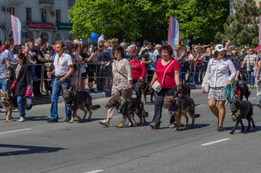 Novorossiysk, Rusya - 1 Mayıs 2018: Mayıs günü gösteri. Barış! İş! Mayıs! İnsanlar ile tatil geçit töreni sırasında Bayrak İşçi Bayramı kutlamak. 1 Mayıs günü tüm çalışan insanlar. Koloni içinde yürüyen insanlar