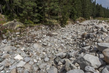 Doğal dağ manzarası. Yaz kuraklık. Yaz aylarında dağ nehir kurudu. Taş bir dağ nehir, nehir yatağı kuru. Kuraklık