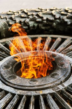 Anavatan düşmüş savunucuları ateş etrafında çiçekli Eternal Flame bilinmeyen denizci anısına anıt. 