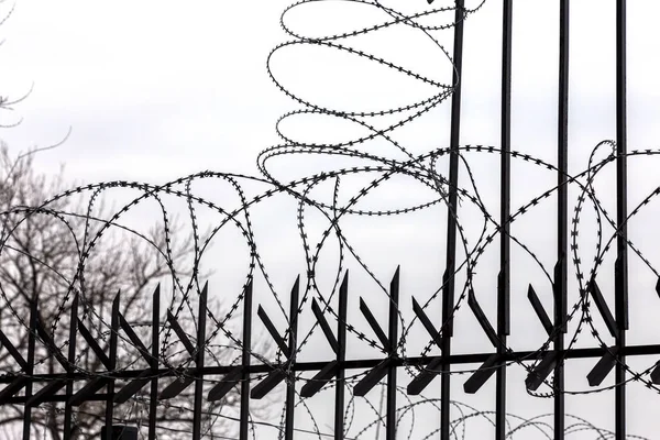 Barbed wire on fence of private area. Protective fencing of specially protected object of barbed wire. Stamped barbed wire. A sign of private property, metal barbed wire hanging on concrete fence