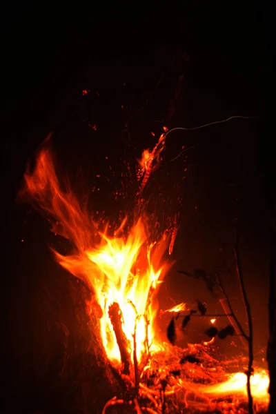 Pożar Lasu Spasione Drzewo Jest Spalony Ziemi Dużo Dymu Vildfire — Zdjęcie stockowe