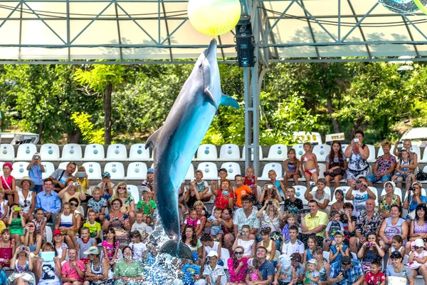 Odessa Ukraine June 2013 Dolphins Creative Entertaining Show Dolphinarium Full — Stock Photo, Image