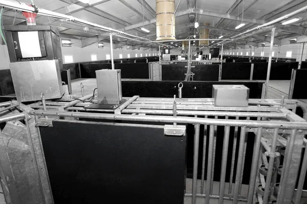 奥德萨 乌克兰 2011年8月11日 现代工业农场为养猪 现代技术自动化大厅 — 图库照片