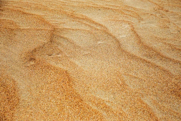 Beautiful Large Yellow Desert Sand Beach Sand Dunes Deserted Desert — Stock Photo, Image