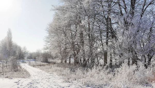 Winter Sneeuw Bedekte Weg Bomen Vorst Sneeuw Aan Kant Van — Stockfoto