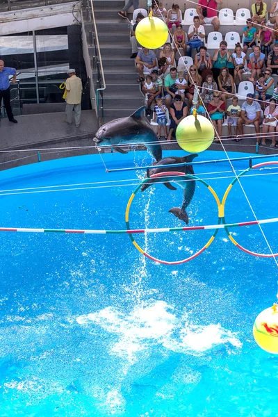 乌克兰奥德萨 海豚在海豚馆的现场演出嘉宾展示了惊人的绝技 2014年7月20日 乌克兰奥德萨 观众们高兴地激动不已 — 图库照片