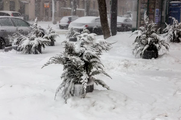 Одесса Украина Января 2018 Года Сильный Снегопад Циклон Улицах Городов — стоковое фото