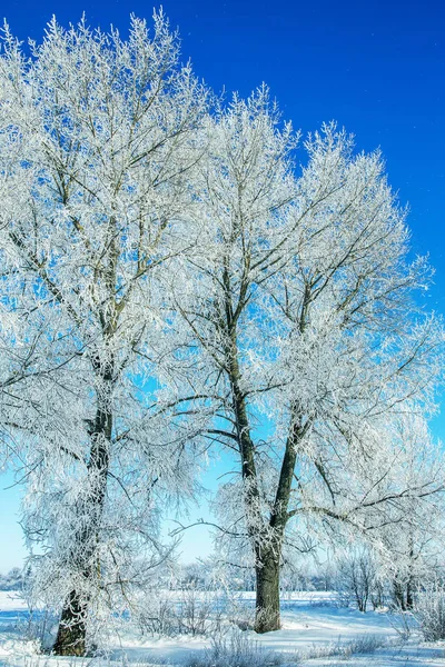 Schöne Winterlandschaft Szene Hintergrund Mit Schneebedeckten Bäumen Und Eis Fluss — Stockfoto