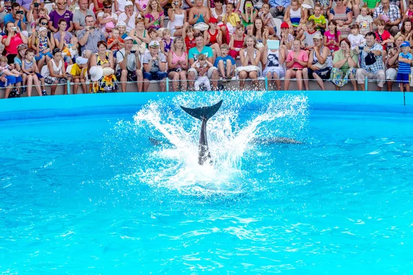 Odessa Ukraine June 2013 Dolphins Creative Entertaining Show Dolphinarium Full — Stock Photo, Image