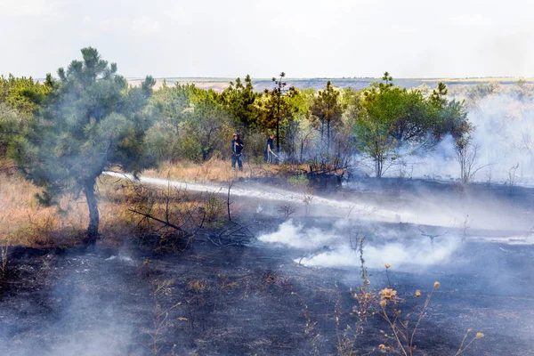 Odessa Ucrânia Agosto 2012 Seca Severa Incêndios Destroem Floresta Estepe — Fotografia de Stock