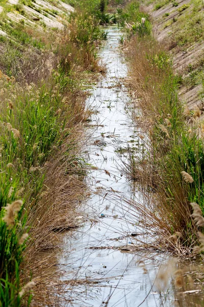 Torka Bevattningskanaler Krim 2015 Ukraina Stäng Vattenförsörjningen Crimea Torka Miljökatastrof — Stockfoto