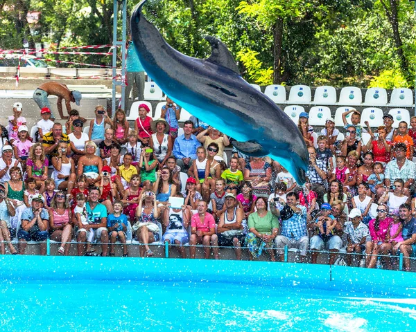 オデッサ ウクライナ 2013 創造的な面白いショーの訪問者の完全な家でイルカ水族館でイルカの驚くべきトリックを示します 観客喜んで喜んで 2013 日オデッサ ウクライナ — ストック写真