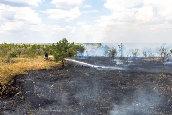 Odessa Ukraina Augusti 2012 Svår Torka Avfyrar Förstör Skogen Och — Stockfoto