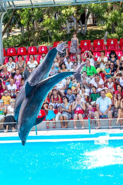 敖德萨 乌克兰 2013 创意娱乐节目在满屋子的游客与海豚海豚显示令人惊叹的技巧 观众高兴高兴 2013 日在乌克兰敖德萨 — 图库照片