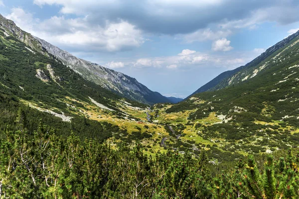 Scenic Peisaj Montan Munții Pirin Bulgaria Vedere Montană Vară Pentru — Fotografie de stoc gratuită