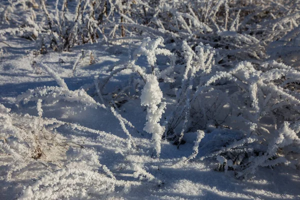 Bellissimo Paesaggio Invernale Scena Sfondo Con Alberi Ricoperti Neve Ghiaccio — Foto Stock