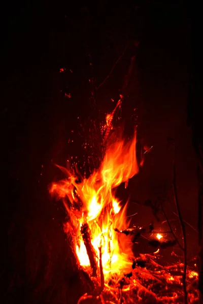 화재입니다 주차장에 Vildfire 화재는 출발만 나무와 애쉬를 파괴합니다 불타는 재해입니다 — 스톡 사진