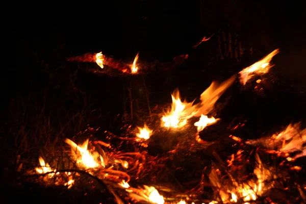 Fogo Florestal Árvore Caída Queimada Chão Lote Fumaça Quando Vildfire — Fotografia de Stock