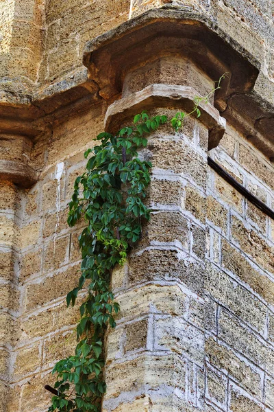 Interno Mistico Rovine Facciata Edificio Rovina Abbandonato Antico Castello Palazzo — Foto Stock