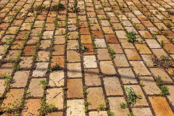 Texture Vecchia Lastra Marciapiede Pavimentazione Con Segni Usura Crepe Usura — Foto Stock