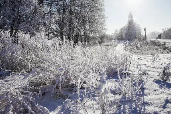 Mooie Winter Landschap Scène Achtergrond Wit Sneeuw Bedekt Bomen Ijs — Stockfoto