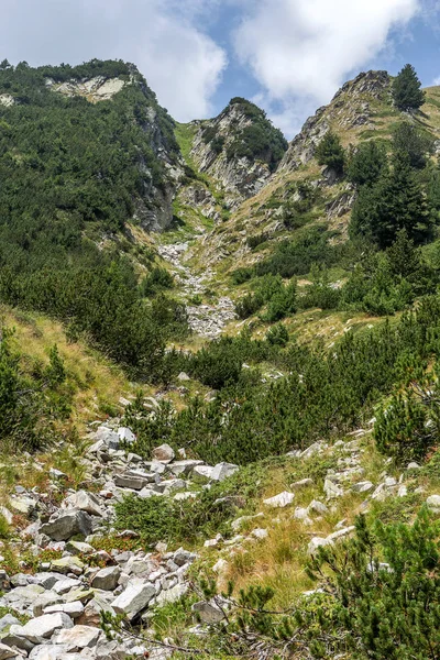 Peisaj Natural Munte Seceta Vară Mountain River Uscat Vara Piatra — Fotografie, imagine de stoc