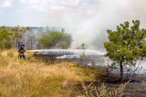 Odessa Ukraine August 2012 Schwere Dürre Brände Zerstören Wald Und — Stockfoto