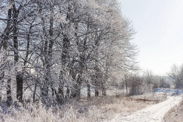 Winter Sneeuw Bedekte Weg Bomen Vorst Sneeuw Aan Kant Van — Stockfoto