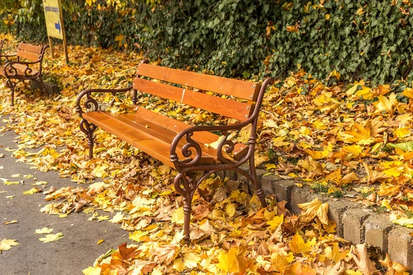 Bancos Madera Del Parque Ciudad Otoño Hojas Caídas Colores Con —  Fotos de Stock