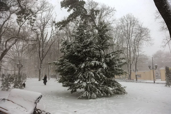 Strong snowfall in city streets in winter. Cars are covered with snow, slippery road. Bad weather in winter: heavy snow and blizzard. Pedestrians go under heavy snow. Winter and snowstorm, snowfall