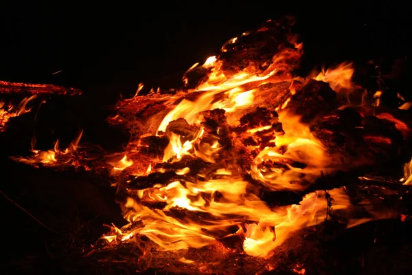 Fogo Florestal Árvore Caída Queimada Chão Lote Fumaça Quando Vildfire — Fotografia de Stock