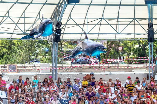 Odessa Ukraine June 2013 Dolphins Creative Entertaining Show Dolphinarium Full — Stock Photo, Image