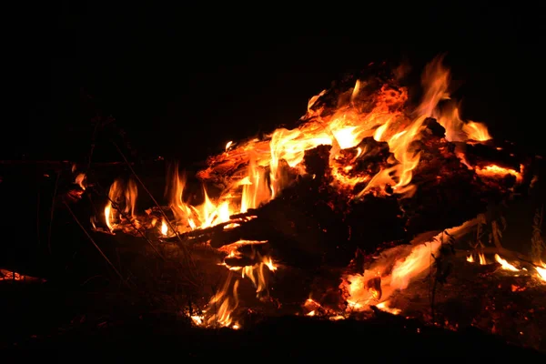 Forest Fire Fallen Tree Burnt Ground Lot Smoke Vildfire Fire — Stock Photo, Image