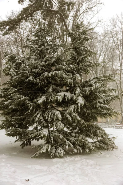 Сильный Снегопад Улицах Города Зимой Автомобили Покрыты Снегом Скользкая Дорога — стоковое фото