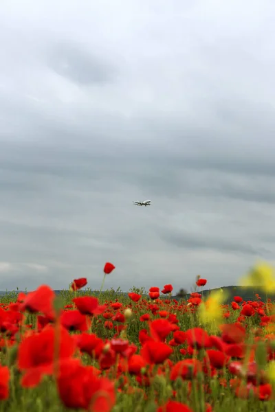 Varna Bulgaria Maggio 2017 Aereo Vola Nel Cielo Serale Sopra — Foto Stock