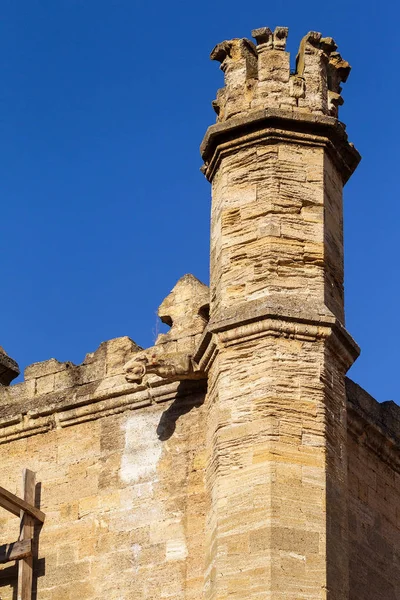 Interior Místico Ruínas Fachada Edifício Arruinado Abandonado Castelo Antigo Mansão — Fotografia de Stock