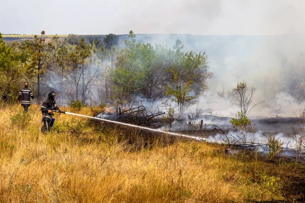 Odessa Ucrania Agosto 2012 Grave Sequía Los Incendios Destruyen Bosque — Foto de Stock