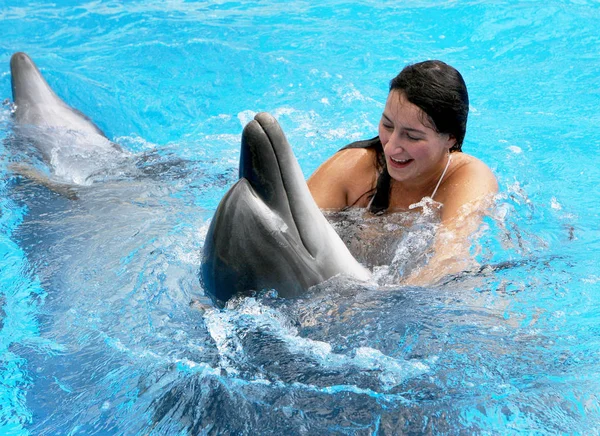 Happy Beautiful Young Girl Laughs Swims Dolphins Blue Swimming Pool Royalty Free Stock Photos
